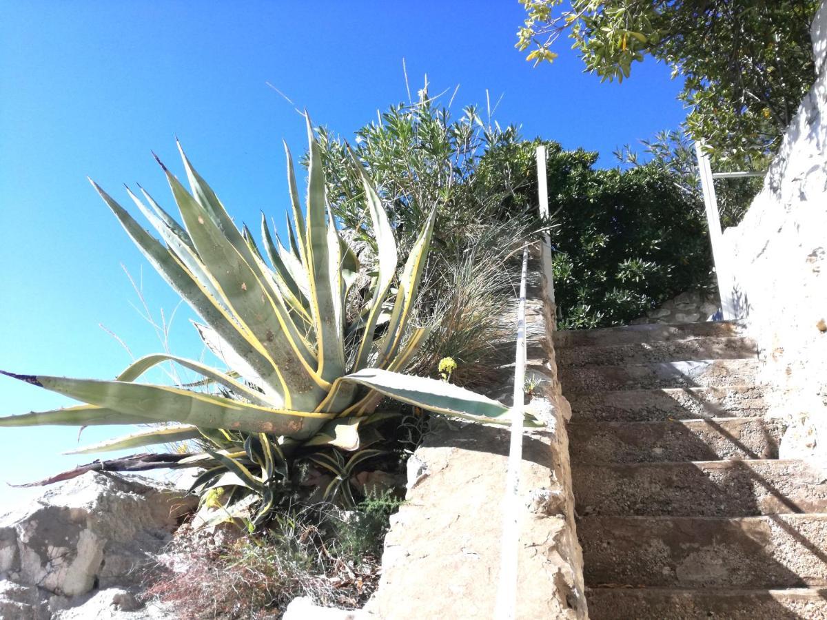 Beach House On The Cliff Zaton  Εξωτερικό φωτογραφία