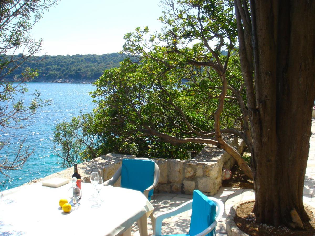Beach House On The Cliff Zaton  Εξωτερικό φωτογραφία
