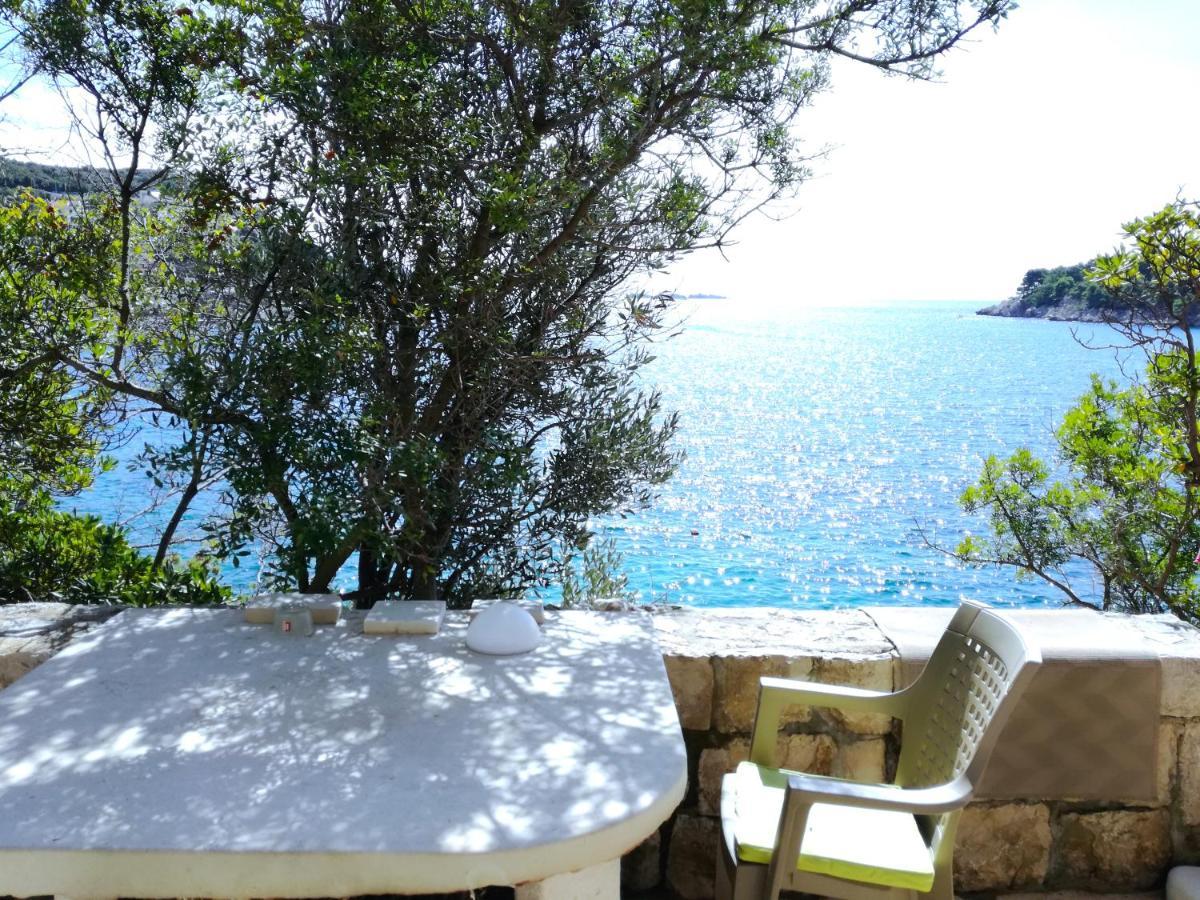 Beach House On The Cliff Zaton  Εξωτερικό φωτογραφία