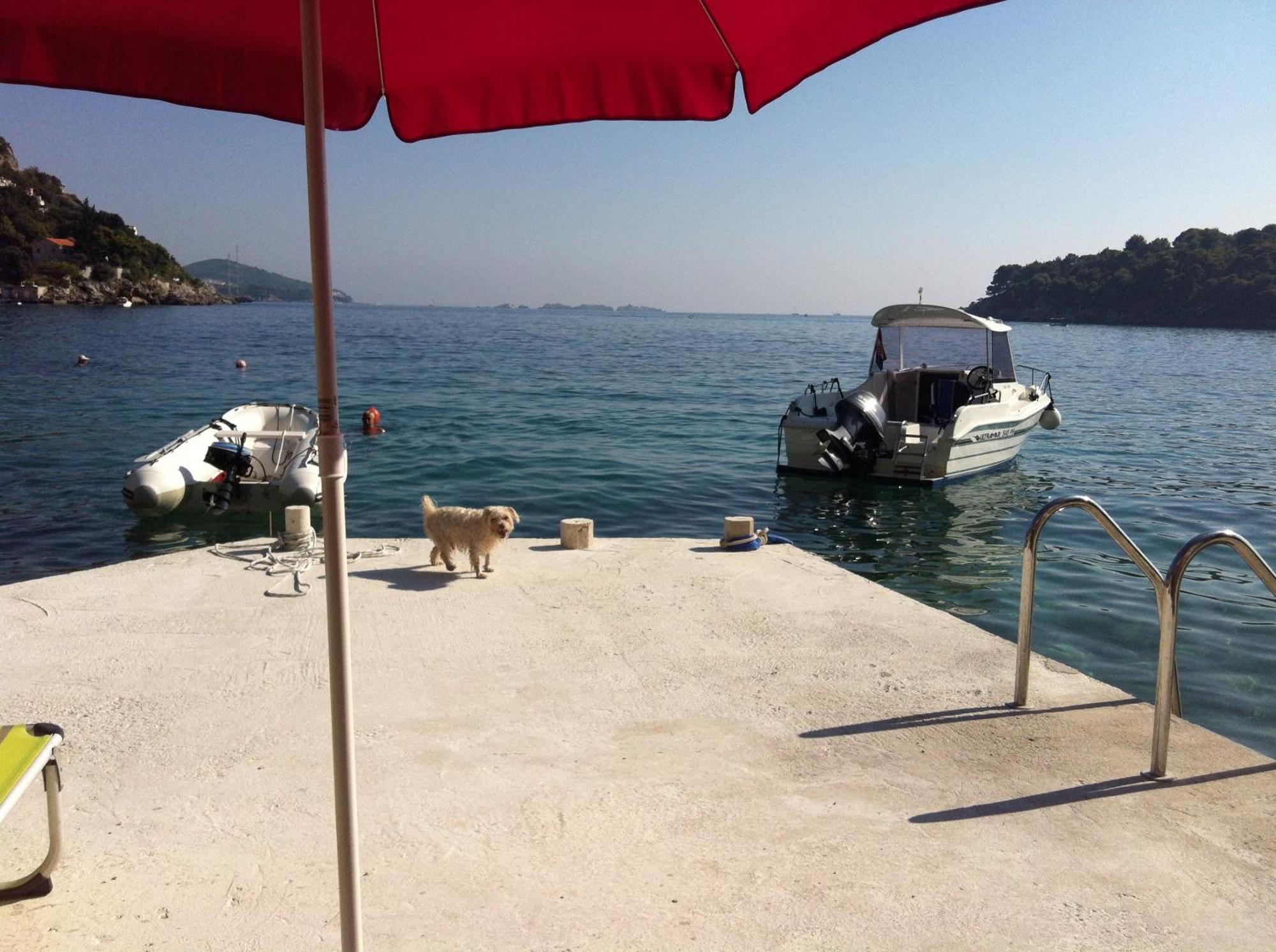 Beach House On The Cliff Zaton  Δωμάτιο φωτογραφία